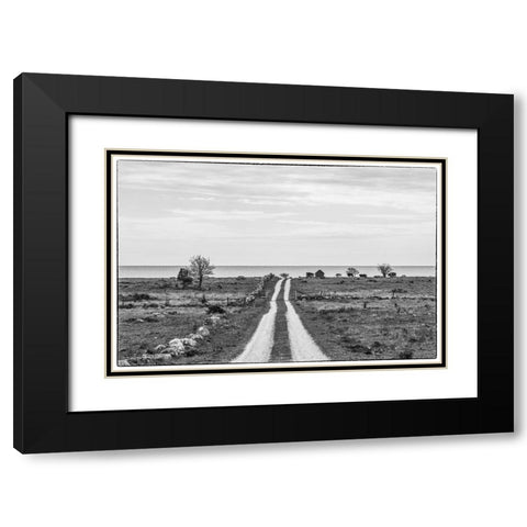 Sweden-Gotland Island-Sundre-country road-southern Gotland Black Modern Wood Framed Art Print with Double Matting by Bibikow, Walter