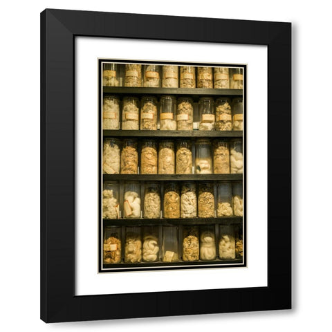 Sweden-Norrkoping-former mill town-cotton samples Black Modern Wood Framed Art Print with Double Matting by Bibikow, Walter