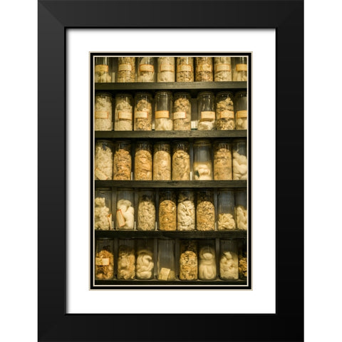 Sweden-Norrkoping-former mill town-cotton samples Black Modern Wood Framed Art Print with Double Matting by Bibikow, Walter