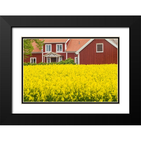 Sweden-Lake Vattern Area-Renstad-farm-springtime Black Modern Wood Framed Art Print with Double Matting by Bibikow, Walter