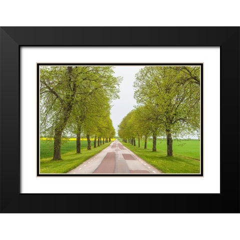 Sweden-Lake Vattern Area-country road-springtime Black Modern Wood Framed Art Print with Double Matting by Bibikow, Walter
