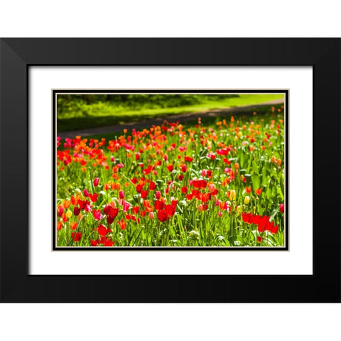 Sweden-Oland Island-Borgholm-Solliden Slott palace-Swedish Royal Family summer palace-palace garden Black Modern Wood Framed Art Print with Double Matting by Bibikow, Walter