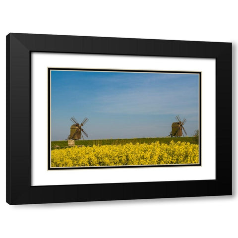 Sweden-Oland Island-Lerkaka-antique wooden windmills Black Modern Wood Framed Art Print with Double Matting by Bibikow, Walter