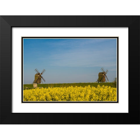 Sweden-Oland Island-Lerkaka-antique wooden windmills Black Modern Wood Framed Art Print with Double Matting by Bibikow, Walter