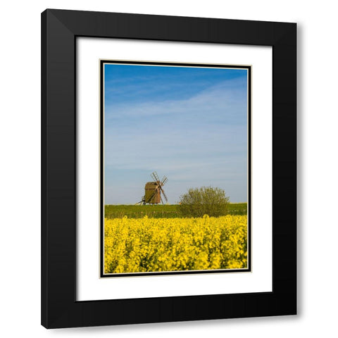 Sweden-Oland Island-Lerkaka-antique wooden windmills Black Modern Wood Framed Art Print with Double Matting by Bibikow, Walter