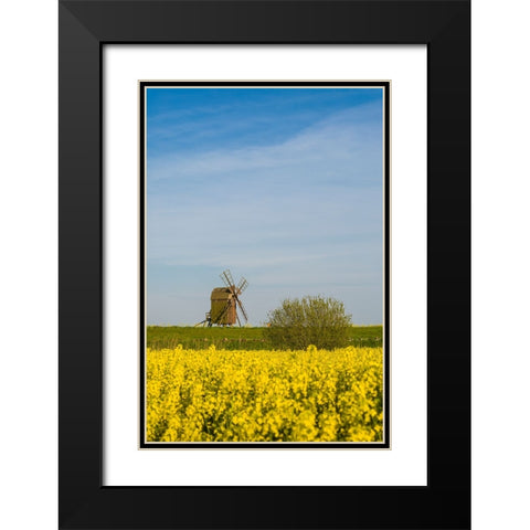 Sweden-Oland Island-Lerkaka-antique wooden windmills Black Modern Wood Framed Art Print with Double Matting by Bibikow, Walter