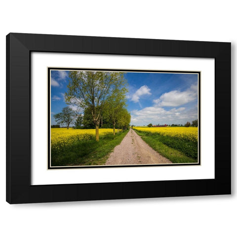 Southern Sweden-Boste lage-country road with yellow flowers-springtime Black Modern Wood Framed Art Print with Double Matting by Bibikow, Walter