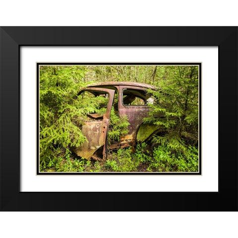 Sweden-Smaland-Ryd-Kyrko Mosse Car Cemetery-former junkyard now pubic park-junked cars Black Modern Wood Framed Art Print with Double Matting by Bibikow, Walter