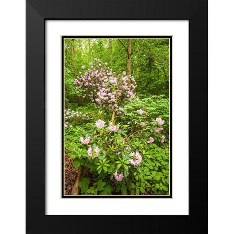 Sweden-Scania-Molle-Krapperups Slott castle-ancient home of the Gyllenstierna family-public garden- Black Modern Wood Framed Art Print with Double Matting by Bibikow, Walter