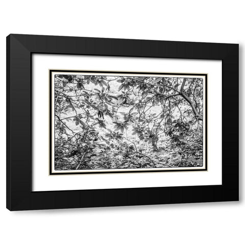 Sweden-Scania-Molle-Krapperups Slott castle-ancient home of the Gyllenstierna family-public garden- Black Modern Wood Framed Art Print with Double Matting by Bibikow, Walter