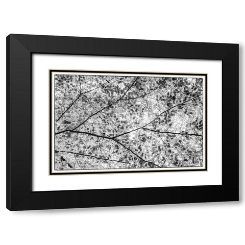 Sweden-Scania-Molle-Krapperups Slott castle-ancient home of the Gyllenstierna family-public garden- Black Modern Wood Framed Art Print with Double Matting by Bibikow, Walter