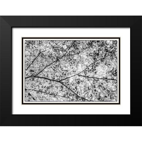 Sweden-Scania-Molle-Krapperups Slott castle-ancient home of the Gyllenstierna family-public garden- Black Modern Wood Framed Art Print with Double Matting by Bibikow, Walter