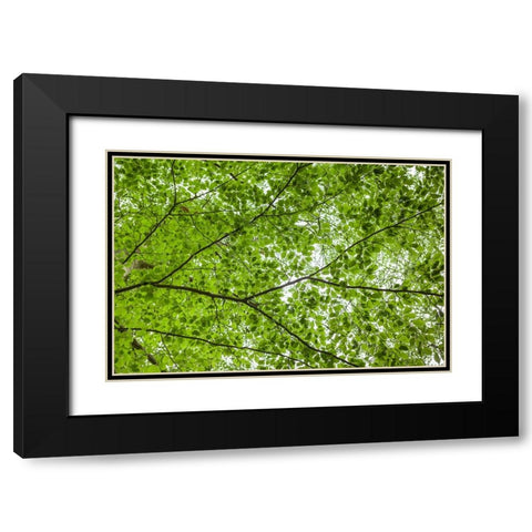 Sweden-Scania-Molle-Krapperups Slott castle-ancient home of the Gyllenstierna family-public garden- Black Modern Wood Framed Art Print with Double Matting by Bibikow, Walter