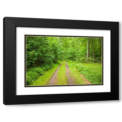 Sweden-Scania-Molle-Krapperups Slott castle-ancient home of the Gyllenstierna family-public garden- Black Modern Wood Framed Art Print with Double Matting by Bibikow, Walter