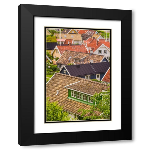 Sweden-Scania-Arild-high angle village view Black Modern Wood Framed Art Print with Double Matting by Bibikow, Walter