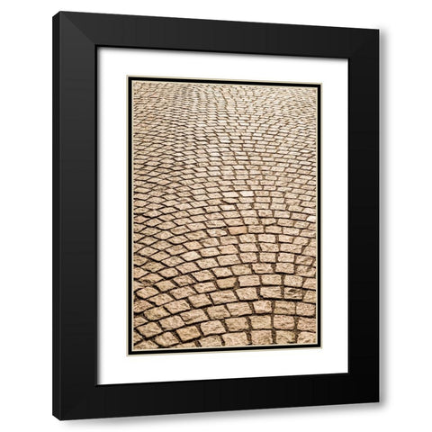 Sweden-Vastragotland and Bohuslan-Gothenburg-Haga neighborhood-paving stones Black Modern Wood Framed Art Print with Double Matting by Bibikow, Walter