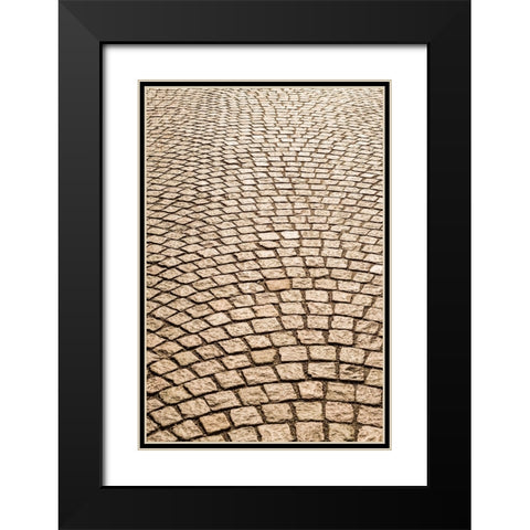 Sweden-Vastragotland and Bohuslan-Gothenburg-Haga neighborhood-paving stones Black Modern Wood Framed Art Print with Double Matting by Bibikow, Walter