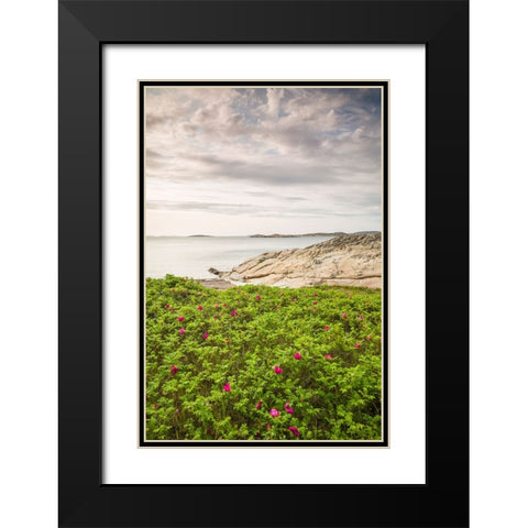 Sweden-Bohuslan-Salto Island-rocky cove seascape Black Modern Wood Framed Art Print with Double Matting by Bibikow, Walter