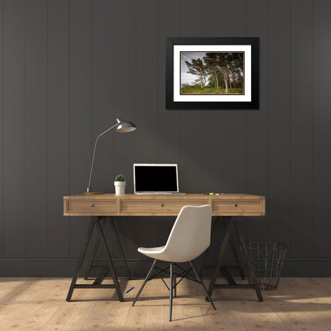 Sweden-Bohuslan-Salto Island-coastal trees Black Modern Wood Framed Art Print with Double Matting by Bibikow, Walter