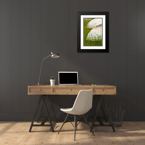 Sweden-Bohuslan-Tjarno Island-Tjarno-small boat Black Modern Wood Framed Art Print with Double Matting by Bibikow, Walter