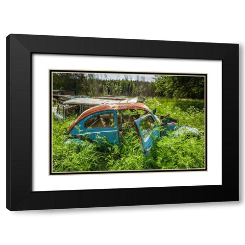 Sweden-Varmland-Bastnas-Bastnas Car Cemetery public park-antique car junkyard Black Modern Wood Framed Art Print with Double Matting by Bibikow, Walter