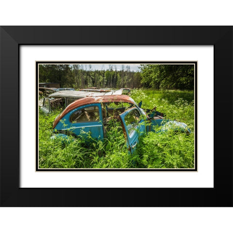 Sweden-Varmland-Bastnas-Bastnas Car Cemetery public park-antique car junkyard Black Modern Wood Framed Art Print with Double Matting by Bibikow, Walter