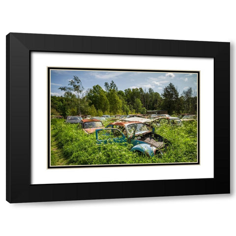 Sweden-Varmland-Bastnas-Bastnas Car Cemetery public park-antique car junkyard Black Modern Wood Framed Art Print with Double Matting by Bibikow, Walter