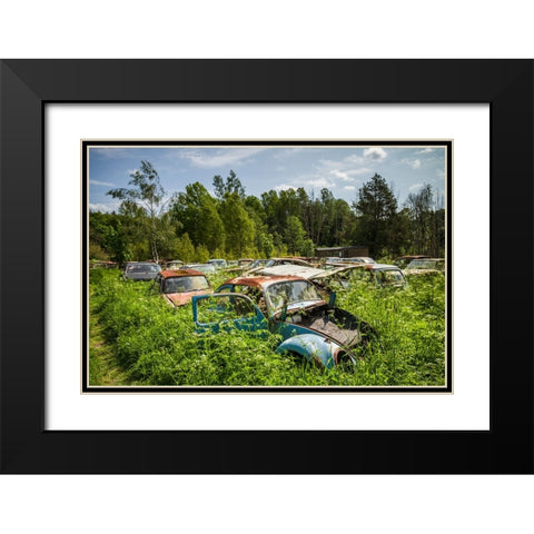Sweden-Varmland-Bastnas-Bastnas Car Cemetery public park-antique car junkyard Black Modern Wood Framed Art Print with Double Matting by Bibikow, Walter