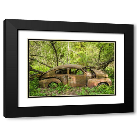 Sweden-Varmland-Bastnas-Bastnas Car Cemetery public park-antique car junkyard Black Modern Wood Framed Art Print with Double Matting by Bibikow, Walter