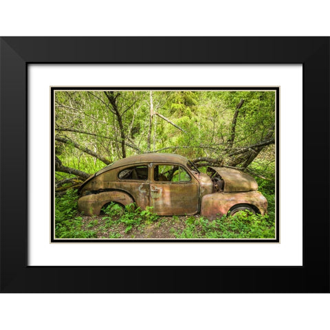 Sweden-Varmland-Bastnas-Bastnas Car Cemetery public park-antique car junkyard Black Modern Wood Framed Art Print with Double Matting by Bibikow, Walter