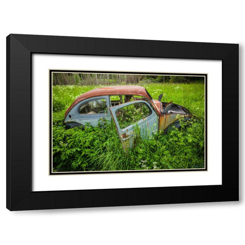 Sweden-Varmland-Bastnas-Bastnas Car Cemetery public park-antique car junkyard Black Modern Wood Framed Art Print with Double Matting by Bibikow, Walter