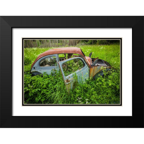 Sweden-Varmland-Bastnas-Bastnas Car Cemetery public park-antique car junkyard Black Modern Wood Framed Art Print with Double Matting by Bibikow, Walter