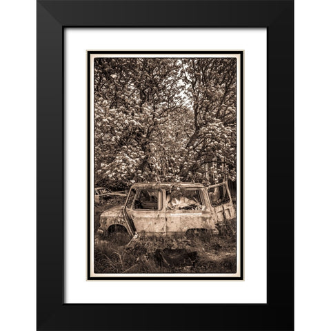 Sweden-Varmland-Bastnas-Bastnas Car Cemetery public park-antique car junkyard Black Modern Wood Framed Art Print with Double Matting by Bibikow, Walter