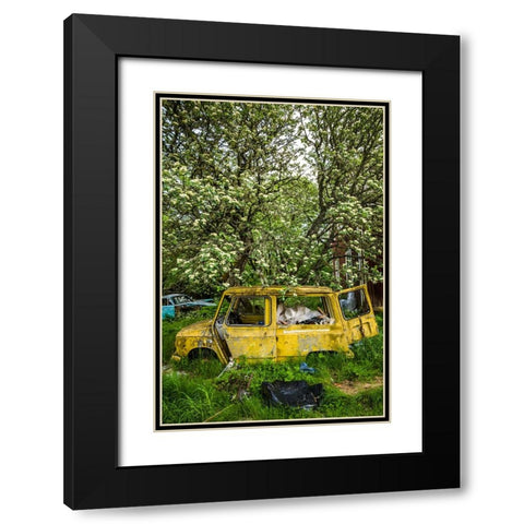 Sweden-Varmland-Bastnas-Bastnas Car Cemetery public park-antique car junkyard Black Modern Wood Framed Art Print with Double Matting by Bibikow, Walter