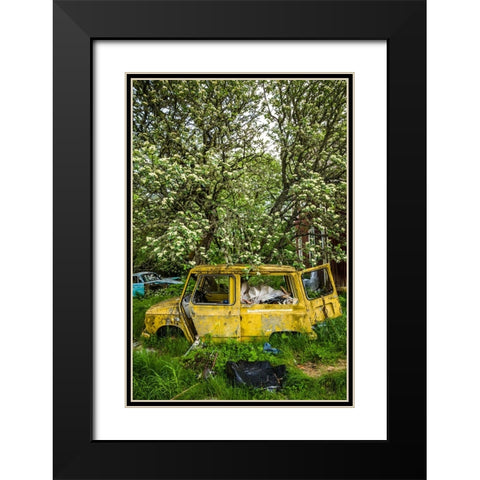 Sweden-Varmland-Bastnas-Bastnas Car Cemetery public park-antique car junkyard Black Modern Wood Framed Art Print with Double Matting by Bibikow, Walter