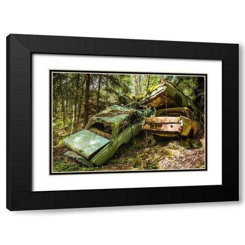 Sweden-Varmland-Bastnas-Bastnas Car Cemetery public park-antique car junkyard Black Modern Wood Framed Art Print with Double Matting by Bibikow, Walter