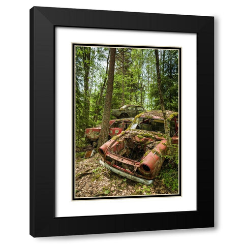 Sweden-Varmland-Bastnas-Bastnas Car Cemetery public park-antique car junkyard Black Modern Wood Framed Art Print with Double Matting by Bibikow, Walter