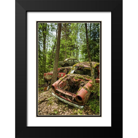 Sweden-Varmland-Bastnas-Bastnas Car Cemetery public park-antique car junkyard Black Modern Wood Framed Art Print with Double Matting by Bibikow, Walter
