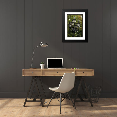 Estonia, Tallinn Street lamp detail Black Modern Wood Framed Art Print with Double Matting by Ross, Nancy ,  Steve