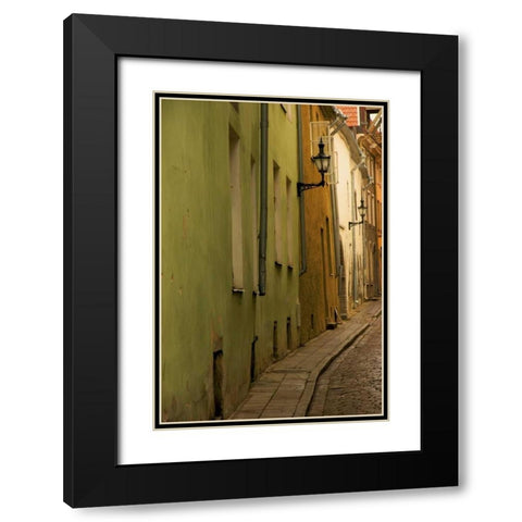 Estonia, Tallinn Narrow cobblestone street  Black Modern Wood Framed Art Print with Double Matting by Ross, Nancy ,  Steve
