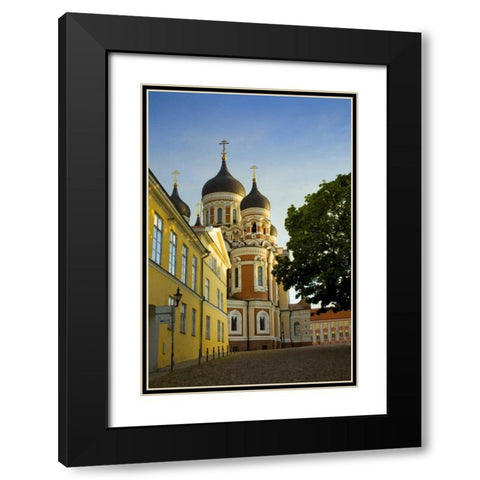 Estonia, Tallinn Alexander Nevsky Cathedral Black Modern Wood Framed Art Print with Double Matting by Zuckerman, Jim
