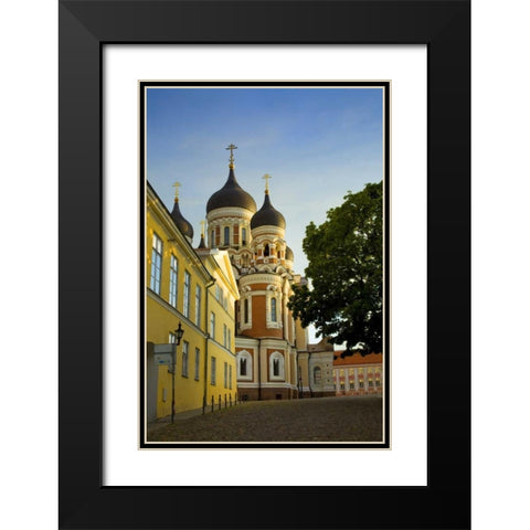 Estonia, Tallinn Alexander Nevsky Cathedral Black Modern Wood Framed Art Print with Double Matting by Zuckerman, Jim