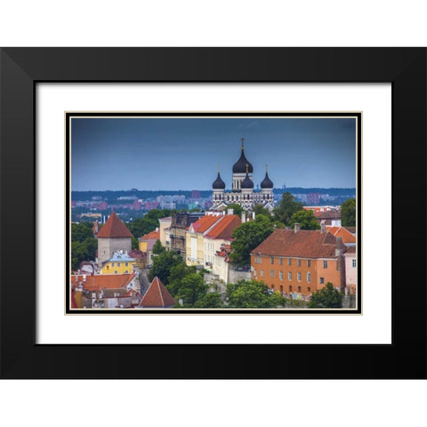 Estonia, Tallinn Alexander Nevsky Cathedral Black Modern Wood Framed Art Print with Double Matting by Zuckerman, Jim