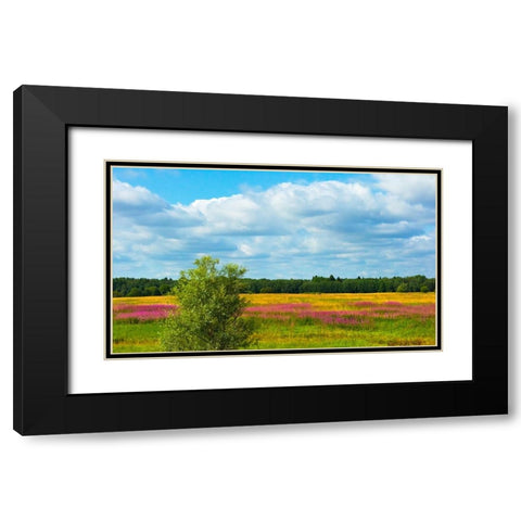 Farmland and flower fields-Estonia Black Modern Wood Framed Art Print with Double Matting by Su, Keren