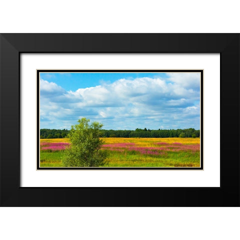 Farmland and flower fields-Estonia Black Modern Wood Framed Art Print with Double Matting by Su, Keren