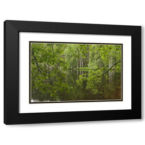 Scotland, Cairngorm NP Calm lake in forest Black Modern Wood Framed Art Print with Double Matting by Illg, Cathy and Gordon