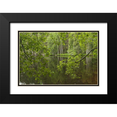 Scotland, Cairngorm NP Calm lake in forest Black Modern Wood Framed Art Print with Double Matting by Illg, Cathy and Gordon