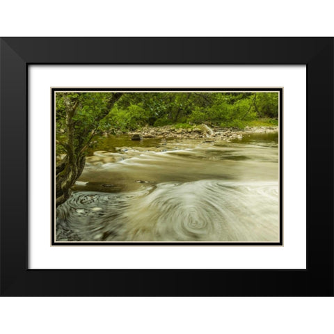 Scotland, Cairngorm NP Swirling water in stream Black Modern Wood Framed Art Print with Double Matting by Illg, Cathy and Gordon