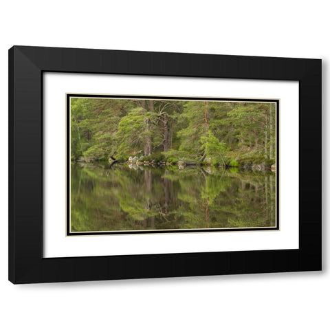 Scotland, Cairngorm NP Calm lake in forest Black Modern Wood Framed Art Print with Double Matting by Illg, Cathy and Gordon