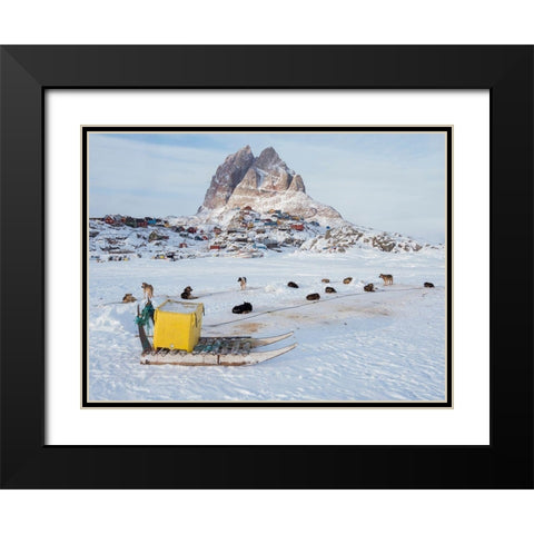 Team of sled dog during winter in Uummannaq in Greenland Black Modern Wood Framed Art Print with Double Matting by Zwick, Martin